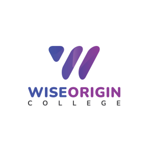 Wise Origin logo